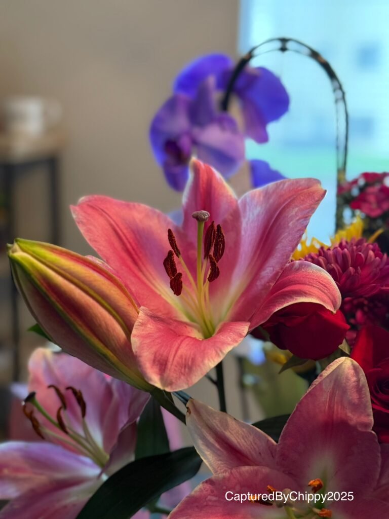 Pink Bloom